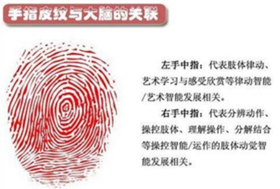 女人十个簸箕纹是什么命运 女人十个簸箕是穷命吗 女人十个簸箕纹是什么命运 女人十个簸箕是穷命吗
