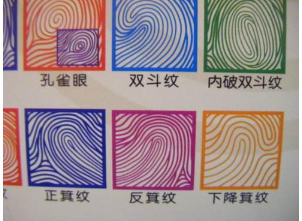 9个斗1个簸箕的说法命运 9个斗1个簸箕婚姻状况 9个斗1个簸箕的说法命运 9个斗1个簸箕婚姻状况
