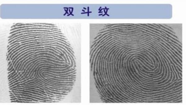 手掌里有簸箕纹的手相 十个簸箕财运旺盛